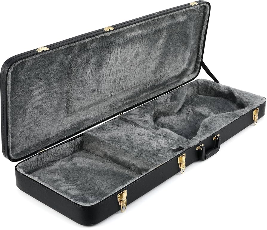 Amazon.com: Ibanez FRM100C Hardshell Guitar Case - Black